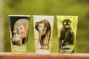 Lemur Sclaterův je novým motivem na kelímku Zoo Ostrava