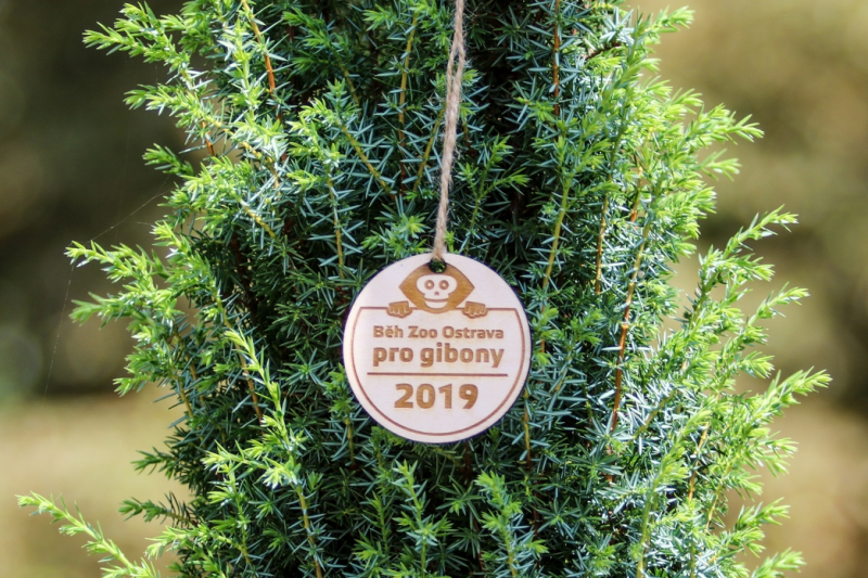 Letošní medaile s gibonem