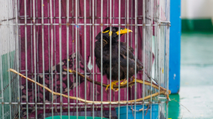 Loskutáci Vás potřebují