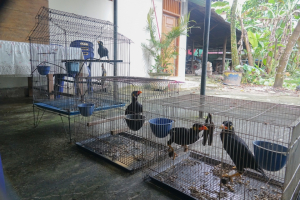 Z lesa rovnou do hrnce