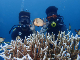 Spustili jsme registrace!