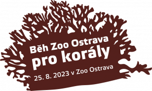 Elektronický dárkový poukaz pod stromeček