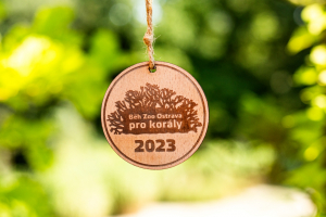 Za pár dní už bude vaše!