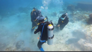 Šroubové kotvy a jejich vliv na mořský ekosystém